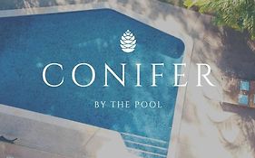 Conifer - Your Private Resort Pool Retreat